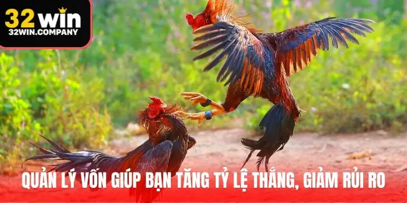 Quản lý vốn giúp bạn tăng tỷ lệ thắng, giảm rủi ro