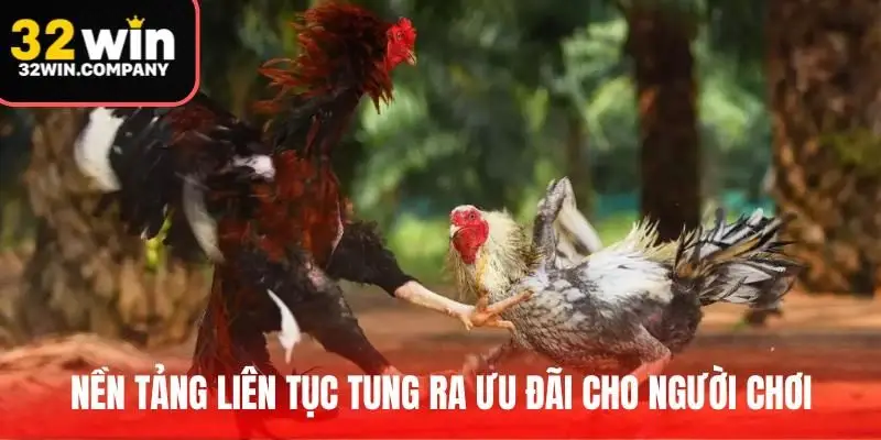 Nền tảng liên tục tung ra ưu đãi cực hấp dẫn cho người chơi