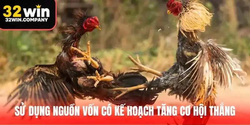 Sử dụng nguồn vốn có kế hoạch tăng cơ hội thắng